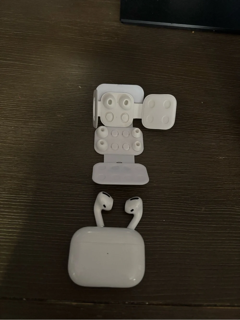 Damaged Airpod Pros 1st Gen (read description)